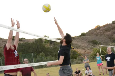 DSC_5473 (Large).JPG